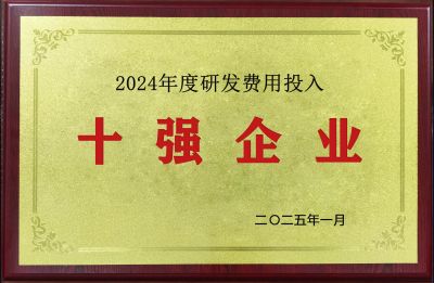 2024年度研发费用投入十强企业